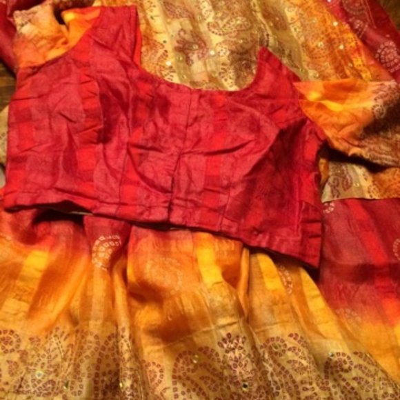 Indian/Pakistani/Bollywood Mirrorwork Gharchola/Bandhini Style Saree & Blouse - Picture 3 of 13